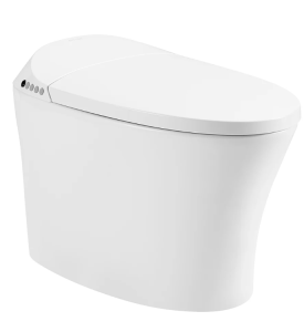 Bồn cầu thông minh Arrow AG801A-1M