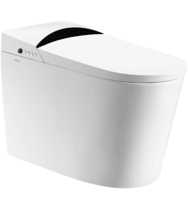 Bồn cầu thông minh Arrow AKB1310-UM