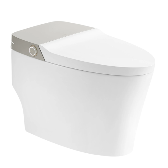 Bồn cầu thông minh Arrow AKB1102M